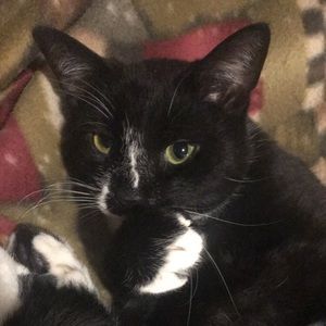 Meet your Posher, Taylor